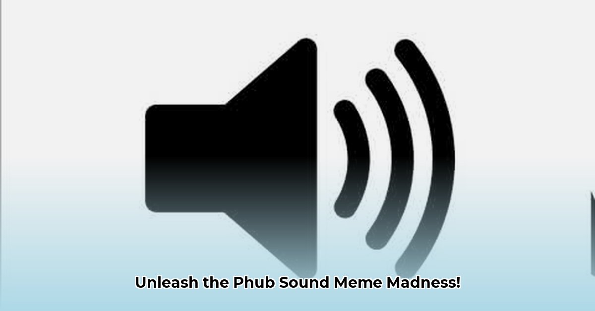phub-sound